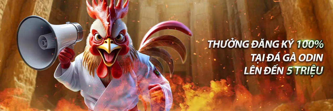 Biểu tượng bảo vệ dữ liệu và GDPR trên nền tảng bet8